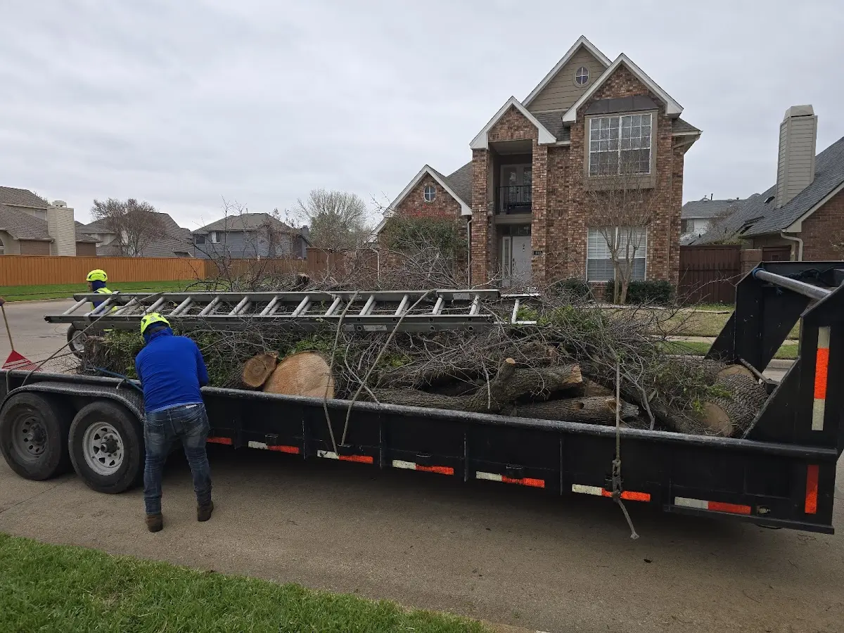 Expert Lot Clearing with proper safety equipment in New Waverly